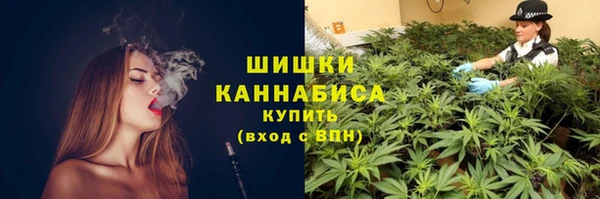 PSILOCYBIN Абаза