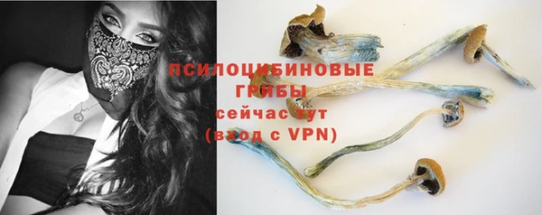 прущие грибы Абдулино