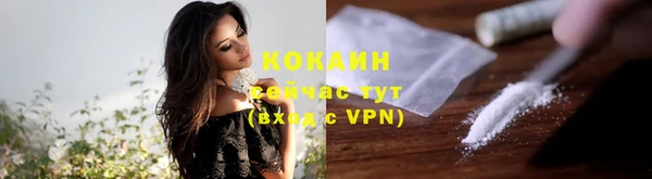прущие грибы Абдулино