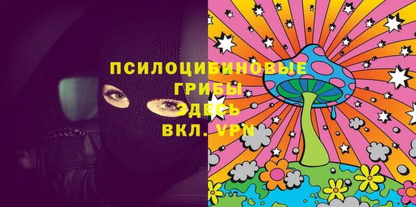 прущие грибы Абдулино