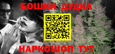 индика Наро-Фоминск