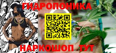 индика Наро-Фоминск