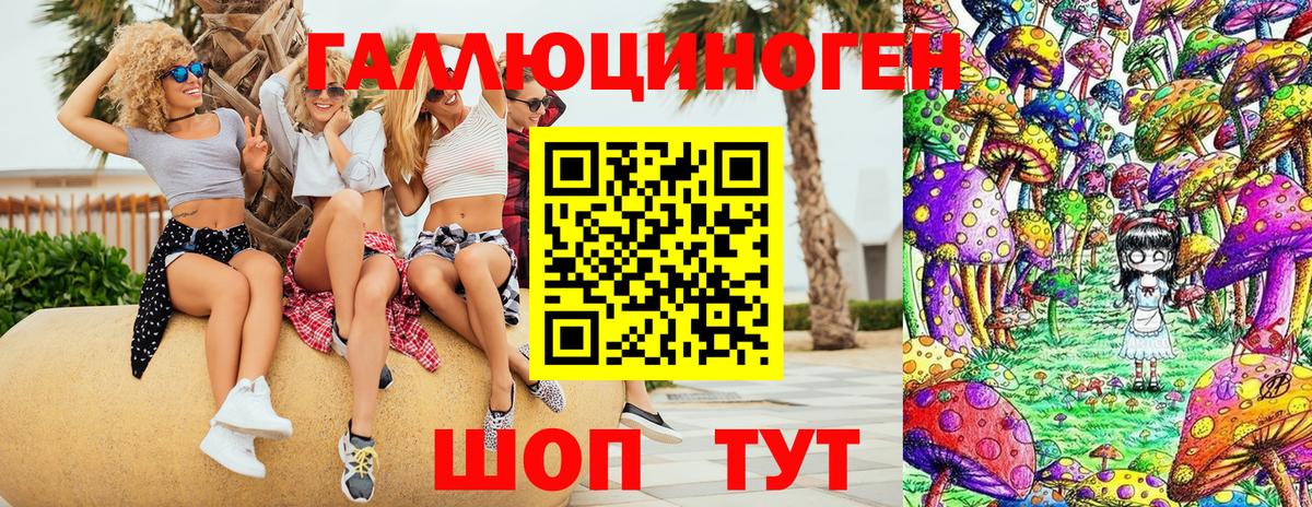Саранск  Галлюциногенные грибы прущие грибы  Вход с VPN  Псилоцибиновые грибы GOLDEN TEACHER 